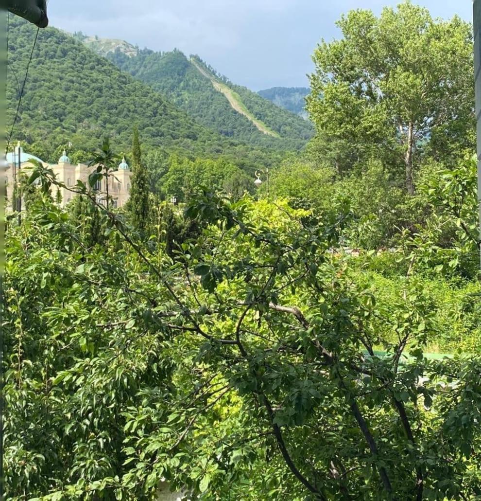 Panoramic Tufandag Family Apartment Gabala Exterior photo